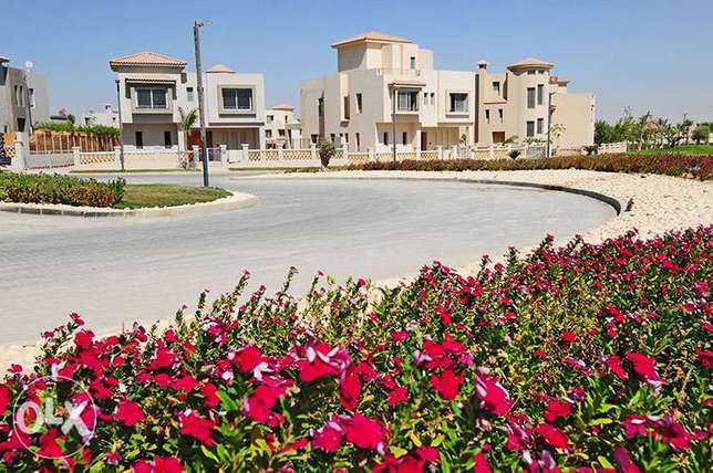 وود فايل Woodville